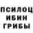 Галлюциногенные грибы прущие грибы Dylan Fedena